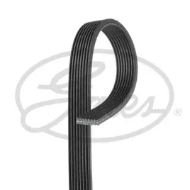 pasek-wieloklinowy-8dpk1355-gts