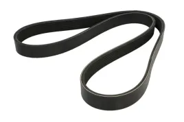 pasek-wieloklinowy-cb0005-gts
