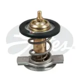 termostat-th50392g1-gts