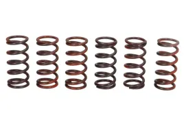 zestaw-sprezyn-sprzegla-mef300-6-trw