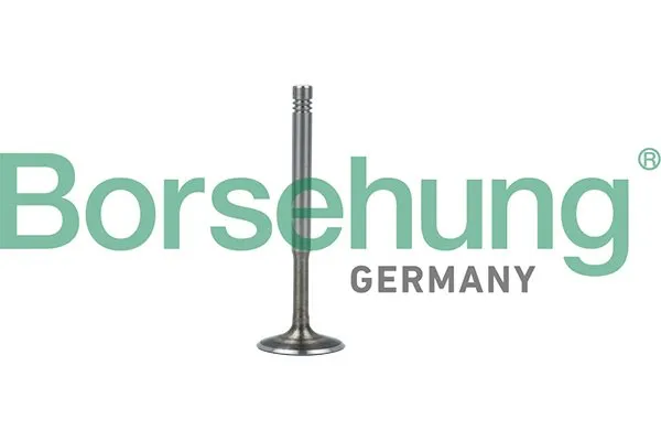 zawor-silnika-b19010-brs