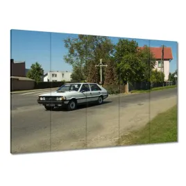 obrazy-225x160-polonez-borewicz-fso