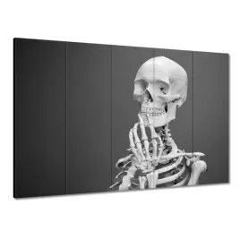 obrazy-225x160-kosciotrup-szkielet-kosci