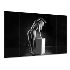 obrazy-225x160-kobieta-akt-czarnobialy