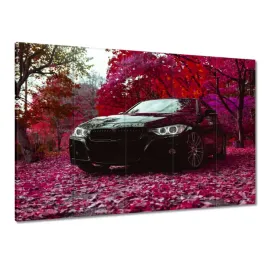 obrazy-225x160-czarne-bmw-jesien