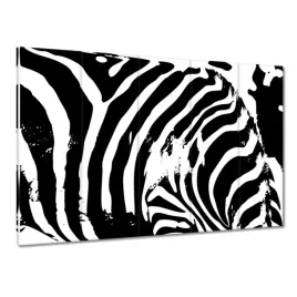obrazy-225x160-zebra-paski-zwierzak