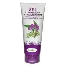 gorvita-zel-zywokostowy-z-jalowcem-i-msm-stawy-stluczenia-siniaki-200-ml