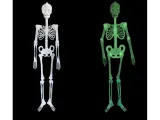 fluorescencyjny-szkielet-150-cm-stan-nowy