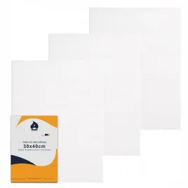 plotno-malarskie-podobrazie-do-malowania-panel-arcydziele-zestaw-3szt-30x40