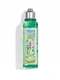 zel-l-occitane-verveine-250-ml-wielkosc-produkt-pelnowymiarowy