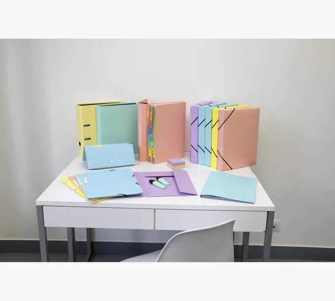 organizer-na-dokumenty-exacompta-material-tworzywo-sztuczne-stan-nowy