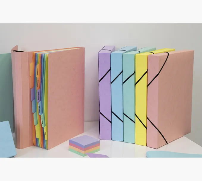 organizer-na-dokumenty-exacompta-material-tworzywo-sztuczne-kod-producenta-58560e