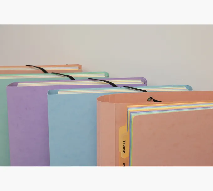 organizer-na-dokumenty-exacompta-material-tworzywo-sztuczne-rodzaj-organizer