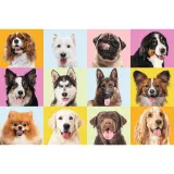 puzzle-60-elem-slodkie-psiaki-trefl-stan-nowy