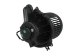 dmuchawa-ddr031tt-ddr031tt-producent-czesci-thermotec