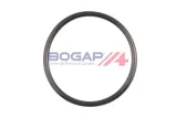pompa-wody-a4234171-bgp-numer-katalogowy-oryginalu-seat-036121005f-seat-036121005fx-seat-036121005p-seat-036121005px-seat-036121008g-seat-036121008gx-skoda-036121005f-skoda-036121005fx-vw-036121005f-vw-036121005fx