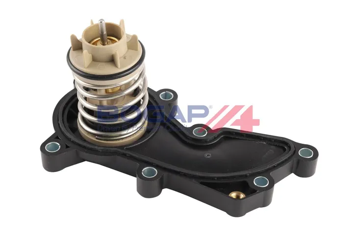 termostat-a4245145-bgp
