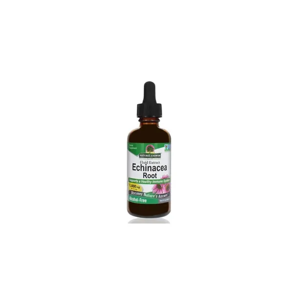echinacea-root