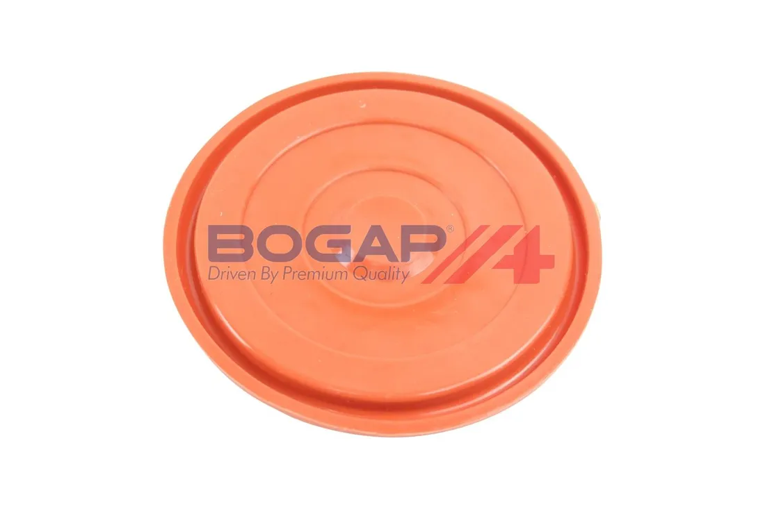odma-b1116116-bgp