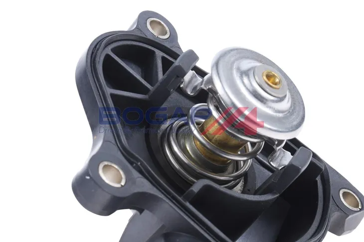 termostat-b4245125-bgp-waga-produktu-0-22-kg