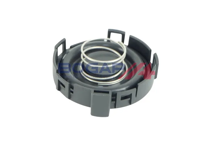 membrama-c1116100-bgp-typ-samochodu-autobusy-samochody-dostawcze