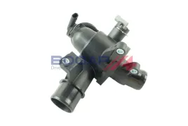 termostat-c4247100-bgp