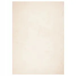 dywan-huarte-z-krotkim-wlosiem-bezowy-240x340-cm