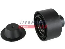 napinacz-paska-micro-v-berlingo-96-rolk-ft44640-fas
