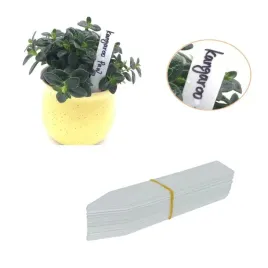 tabliczki-do-roslin-znaczniki-etykiety-ogrodnicze-plastikowe-biale