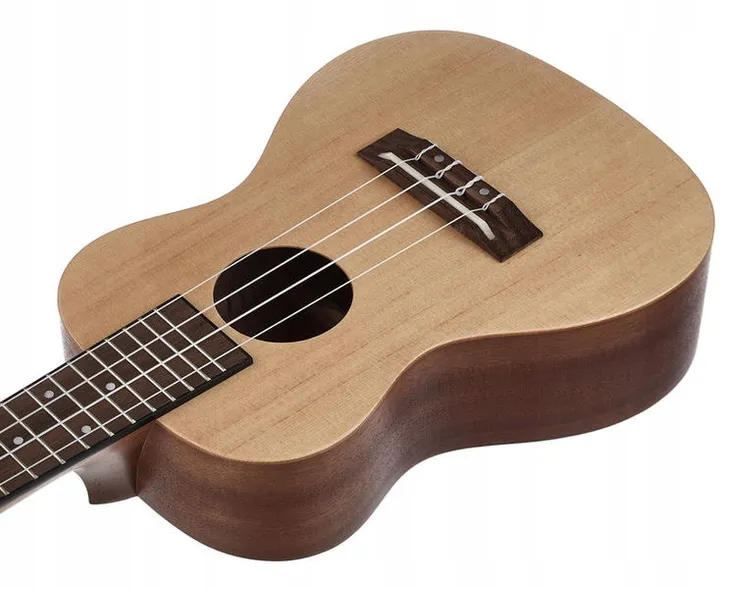 ukulele-koncertowe-harley-benton-kolor-brazowy