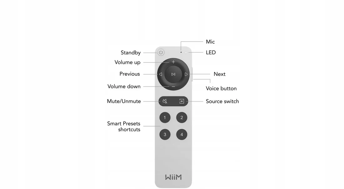 wiim-voice-remote-2-or-pilot