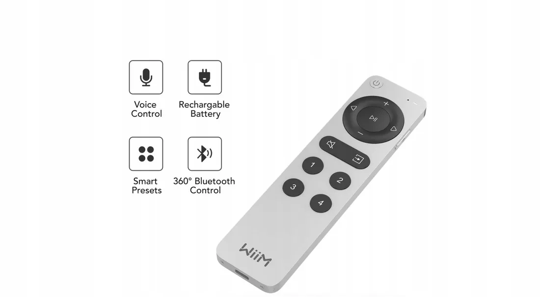 wiim-voice-remote-2-or-pilot