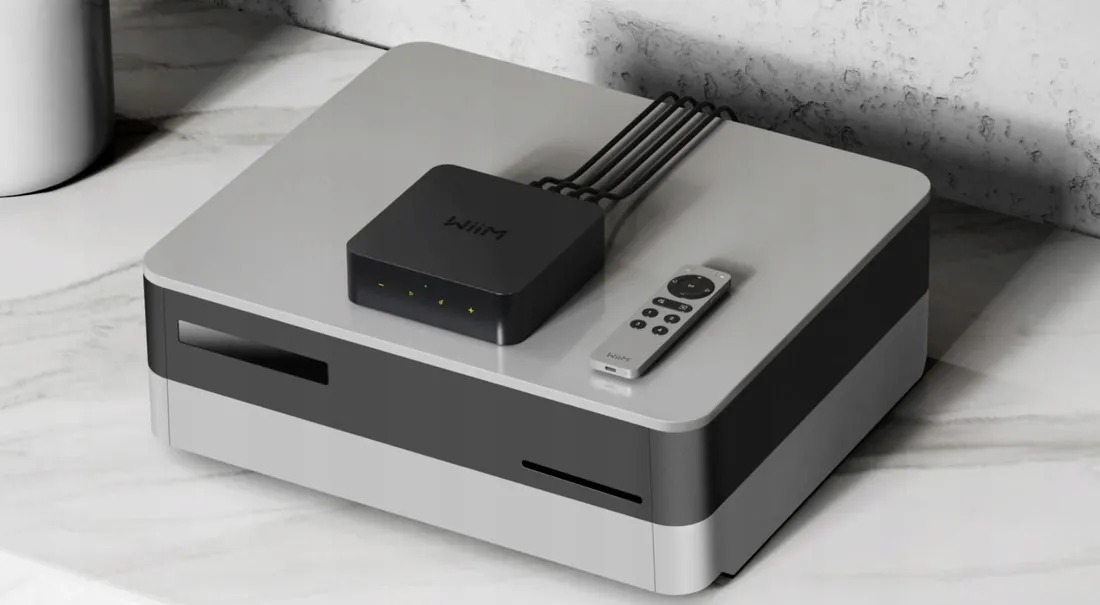 wiim-voice-remote-2-or-pilot