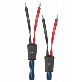 kable-glosnikowe-konfekcja-wtyki-bananowe-wireworld-oasis-10-oas-2-x-2m