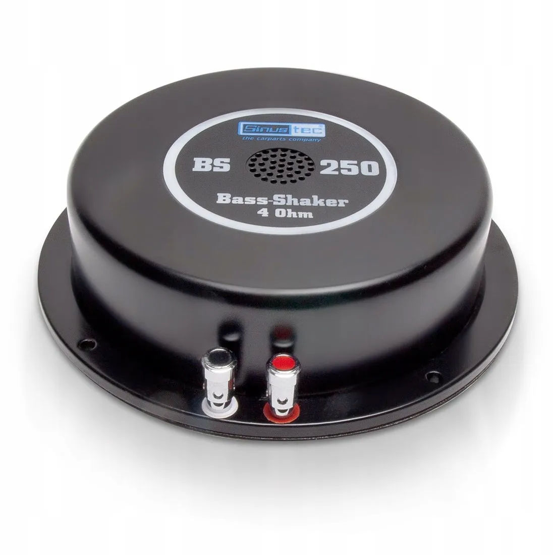 subwoofer-samochodowy-sinustec-14019-100-w