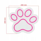 neon-dpm-lapa-25-x-22-cm-kod-producenta-neo016