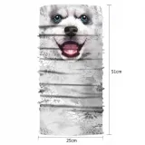 bandana-4240-white-dog