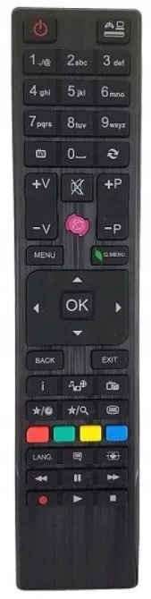 pilot-vestel-rc4876