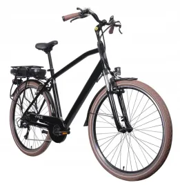 rower-elektryczny-indiana-pulse-250w-28-cali-meski-czarny