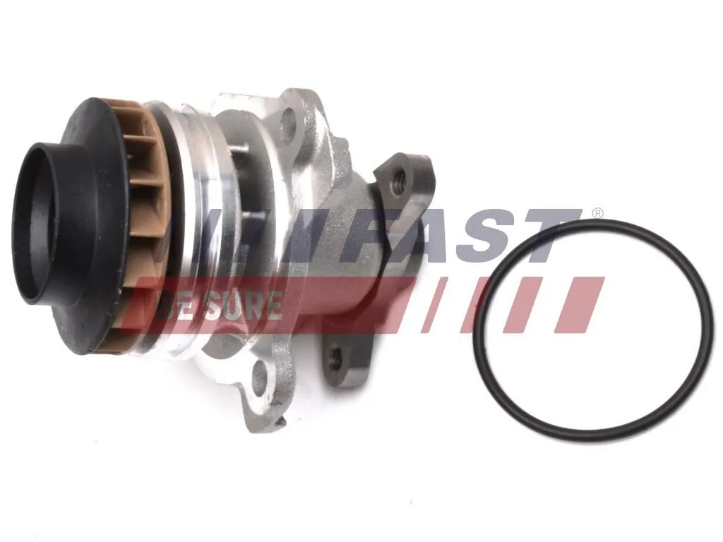 pompa-wody-master-10-2-3dci-ft57181-fas
