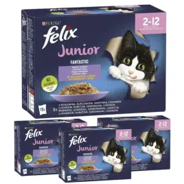 karma-dla-kota-felix-fantastic-junior-mix-smakow-mieso-ryby-85g-x-48