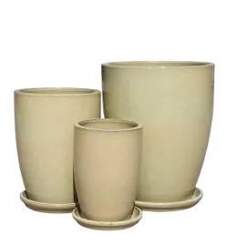 zestaw-wietnam-toledo-cream