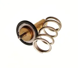 termostat-srodka-chlodzacego-725069-nrf