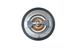 termostat-srodka-chlodzacego-725205-nrf