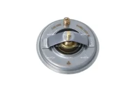 termostat-srodka-chlodzacego-725210-nrf