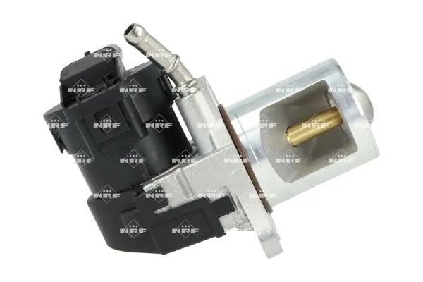 zawor-egr-48646-nrf