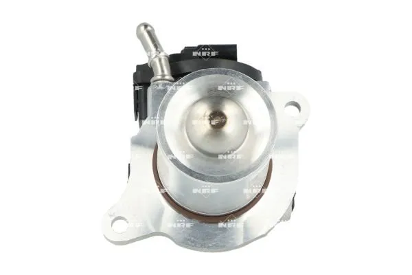 zawor-egr-48646-nrf