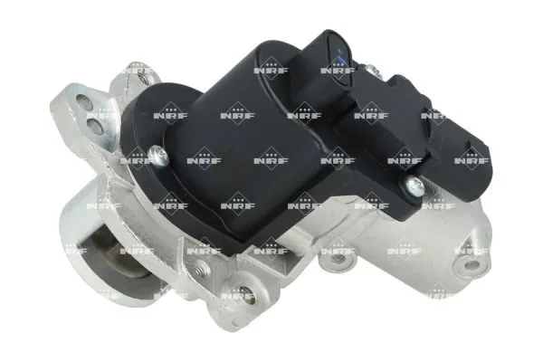 zawor-egr-48648-nrf