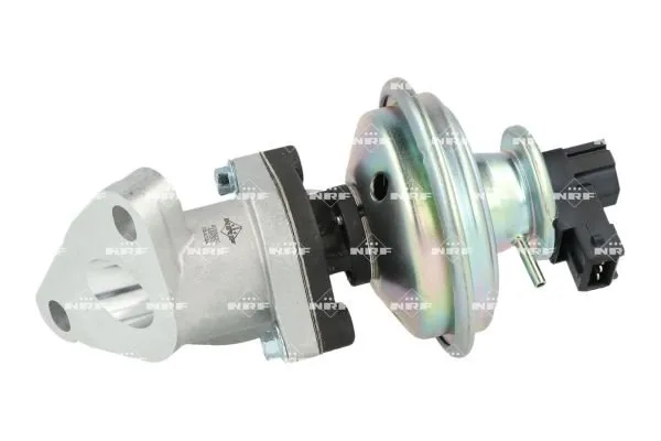 zawor-egr-48650-nrf