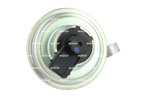 zawor-egr-48650-nrf